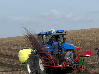 Plantăm livezi / Servicii de plantare foto 3