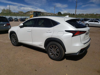 Lexus NX Series foto 6