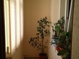 Apartament 2 odai, Telenesti foto 3