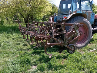 Cultivator foto 2