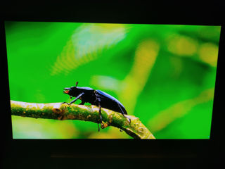 Televizor LG 50" - 127 cm Full HD foto 4