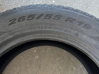 265/55 r19 pirelli scorpion winter foto 8