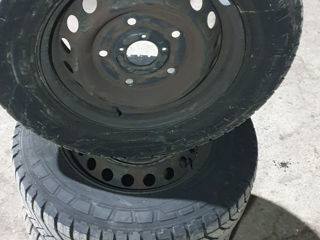 GOOD-YEAR Iarnă  215/65 R15  2022 Ford Custom