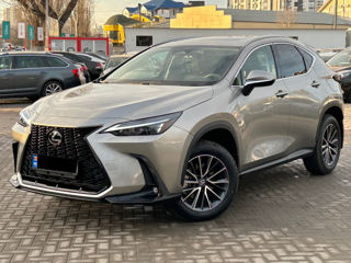 Lexus NX Series