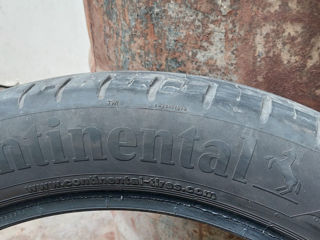 195/55 R20 Continental foto 1