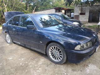 BMW 5 Series foto 2