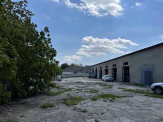 Cladire comerciala in Balanesti cu depozite, cu spatiu pentru producere linga soseaua principala foto 9