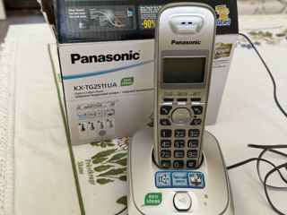 Panasonic