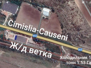 Zaim Промышленный холодильник  фото 0