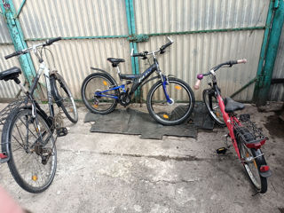 3 велосипеда-4000л. foto 1