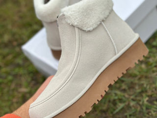 Ugg женские foto 6