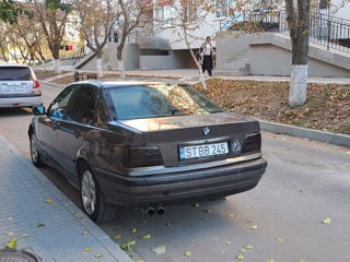 BMW 3 Series foto 5