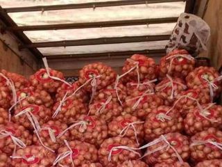 Купим клубнику, черешню, персики, картофель, лук, грибы урожай 2020 г. foto 9