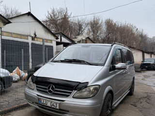 Mercedes Viano