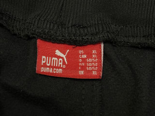 Puma foto 4