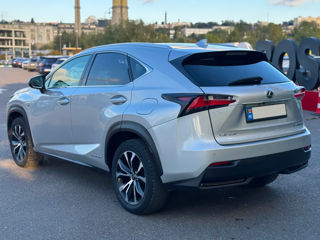 Lexus NX Series foto 7