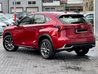 Lexus NX Series foto 5