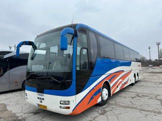 Man Lions Coach R08 foto 4