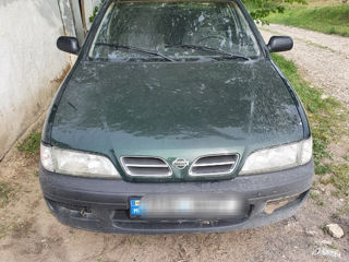 Nissan Primera