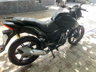 Viper  Magnum 250 фото 3