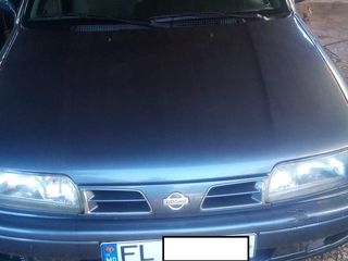 Nissan Primera foto 2