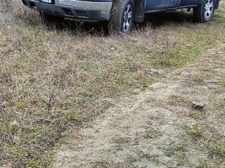 Chevrolet Silverado foto 2