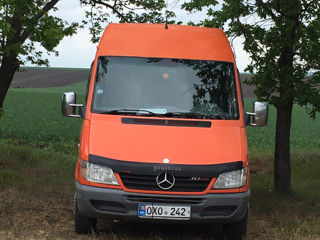 Mercedes 313 foto 0
