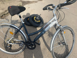 Biciclete foto 6