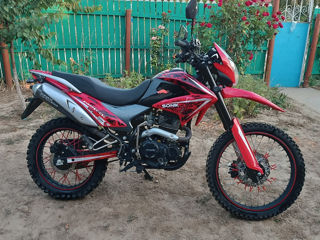 Sonic Enduro foto 4