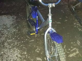 Biciclete foto 5