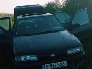 Nissan Primera