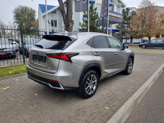 Lexus NX Series foto 5