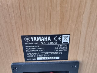 Yamaha boxe foto 4