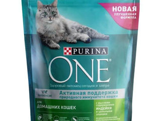 Purina One