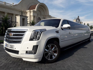 Limuzine Hummer H2, Cadillac Escalade, Infiniti, foto 8