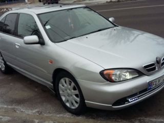 Nissan Primera foto 1