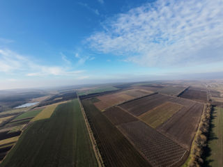 Vanzare Teren Agricol Ferma Depozit Arteziana 380v Bazin foto 8