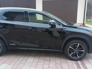 Lexus NX Series foto 13