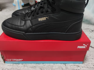 Puma, Original foto 7