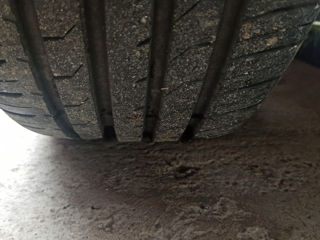 205/55 r16 Maxxis premitra 5 vara foto 2