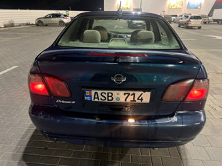 Nissan Primera foto 4