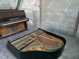 Пианино,рояль,фортопиано foto 1
