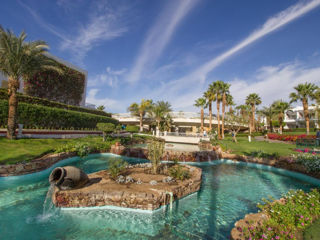 Egypt! "Monte Carlo Sharm Resort & Spa" 5*! foto 9