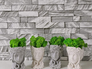 Obiecte de decor pentru casa si birou.Ghivece,vaze,suvenire.Topiary.Горшки,кашпо и сувениры. foto 13