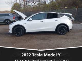 Tesla Model Y foto 12