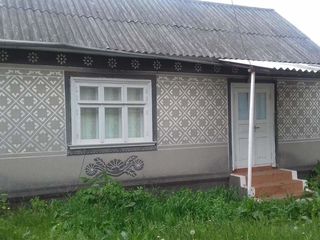 Urgent !! Se vinde casa  cu sarai in satul Chetrosu, r-nul Drochia , pe linga casa sunt 40 soci. foto 2