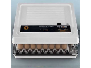 Incubator MS-130  -  3 rate 0%  -  Livrare  -  Credit  -  Transfer  -  Electron.Md