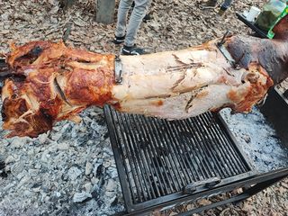 Purcelus Berbecuț la Rotisor, frigărui, legume și multe altele foto 2