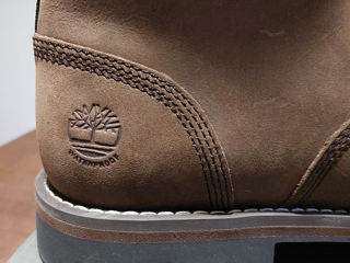 Timberland foto 6