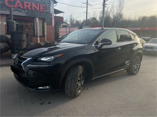 Lexus NX Series